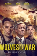 Affiche du film Wolves of War