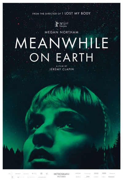 Affiche du film Pendant ce temps sur Terre