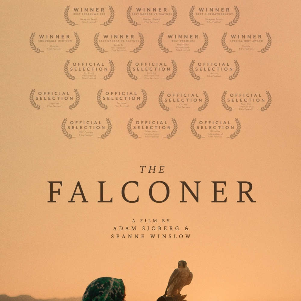 Affiche du film The Falconer