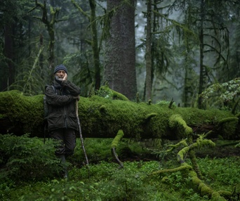 Image du film Le chant des forêts