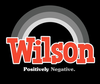 Affiche du film Wilson