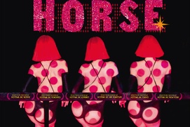 Affiche du film Crazy Horse Affiche du film Crazy Horse