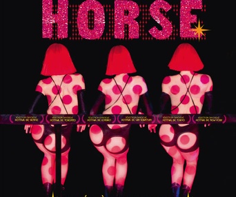 Affiche du film Crazy Horse