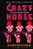 Affiche du film Crazy Horse