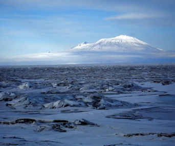 Scène du film Encounters at the end of the world