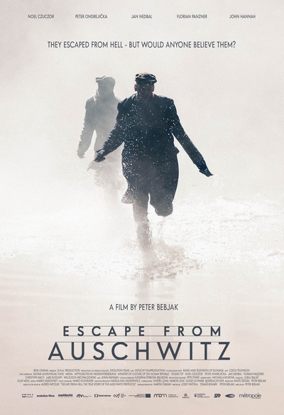 Affiche du film The Escape from Auschwitz