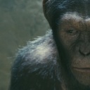 Un scène du film Rise of the Planet of the Apes