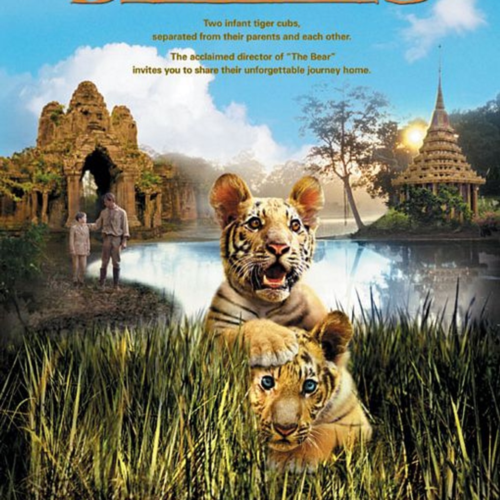 Affiche du film Two Brothers