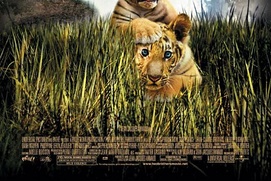 Affiche du film Two Brothers