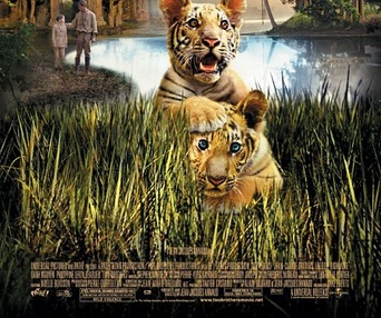 Affiche du film Two Brothers