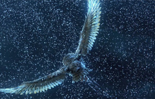 Une scène du film Legend of the Guardians