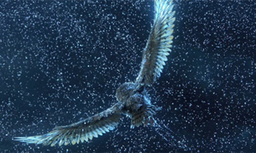 Pré-bande-annonce du film d'animation Legend of the Guardians