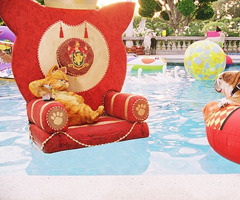 Scène du film Garfield Pacha Royal