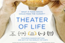 Affiche du film Theater of Life