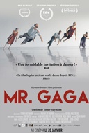 Affiche du film Mr. Gaga