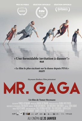 Mr. Gaga
