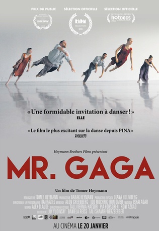 Mr. Gaga