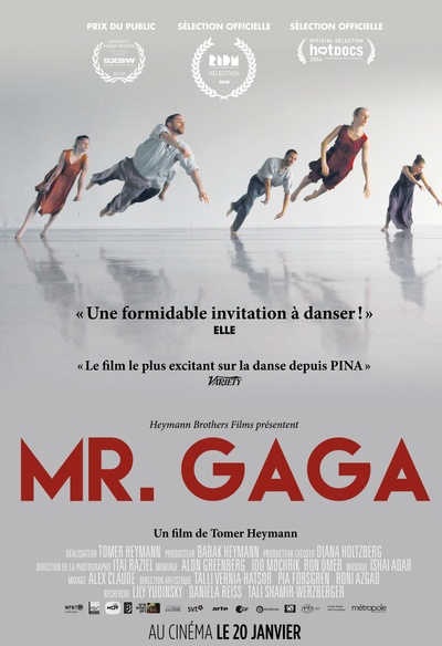Affiche du film Mr. Gaga