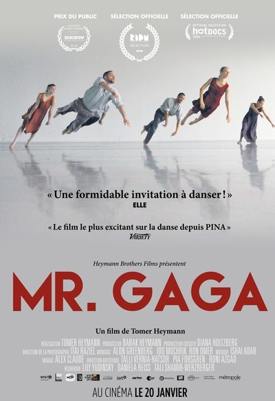 Affiche du film Mr. Gaga