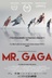 Affiche du film Mr. Gaga