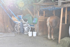 Une scène du film Le Horse Palace