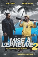 Affiche du film Mise à l'épreuve 2
