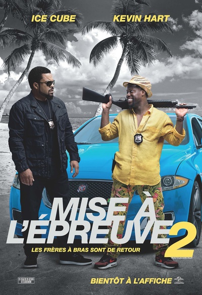 Affiche du film Mise à l'épreuve 2