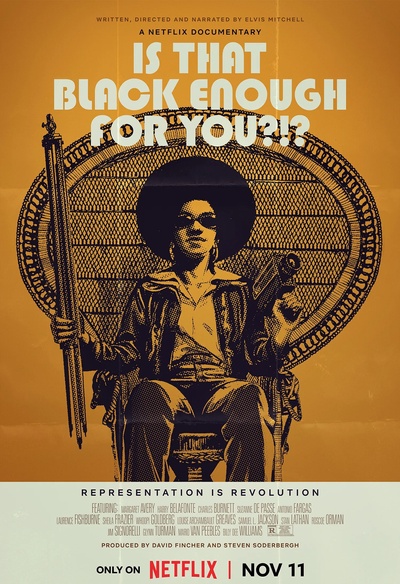 Affiche du film Is That Black Enough for You?!?
