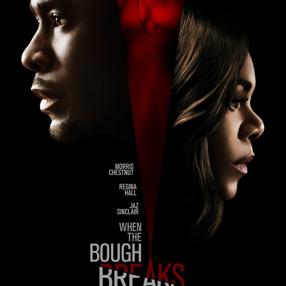 Affiche du film When the Bough Breaks