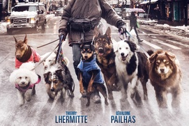 Affiche du film La nouvelle vie de Paul Sneijder Affiche du film La nouvelle vie de Paul Sneijder