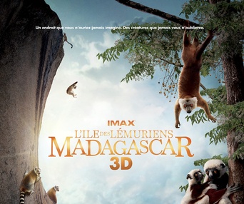 Affiche du film L'île des lémuriens : Madagascar 3D