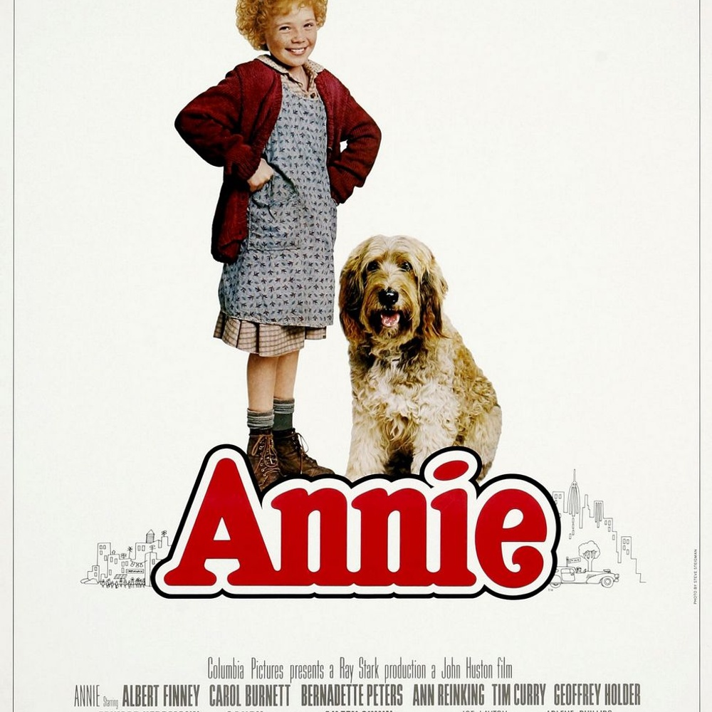 Affiche du film Annie