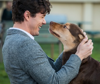 Une scène du film A Dog's Way Home