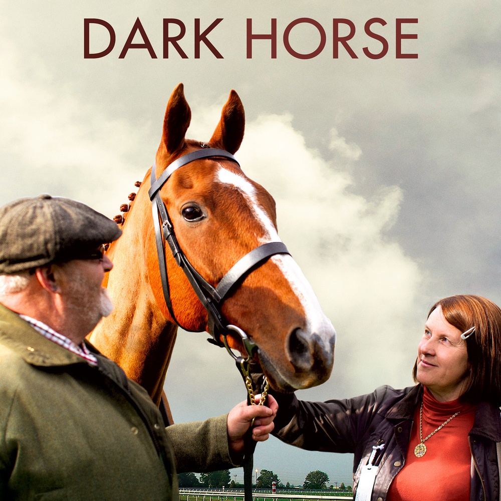 Affiche du film Dark Horse
