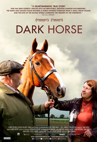 Affiche du film Dark Horse