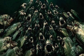 Affiche du film Piranha 3DD Affiche du film Piranha 3DD