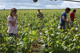 Une scène du film Retour en Bourgogne