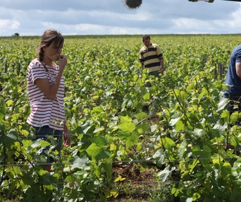 Une scène du film Retour en Bourgogne