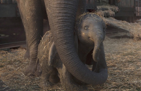 Une scène du film Dumbo