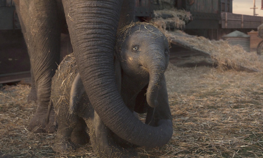 Dix anecdotes sur le film Dumbo de Tim Burton
