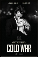 Affiche du film La guerre froide