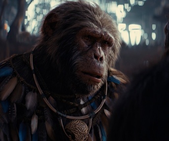 Image du film Kingdom of the Planet of the Apes