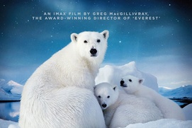 Affiche du film To the Artic 3D