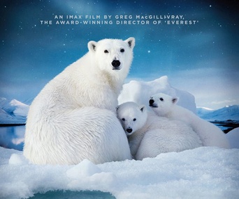 Affiche du film To the Artic 3D