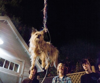 Une scène du film Project X
