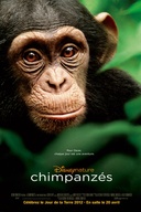 Affiche du film Chimpanzés