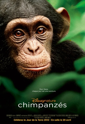 Chimpanzés