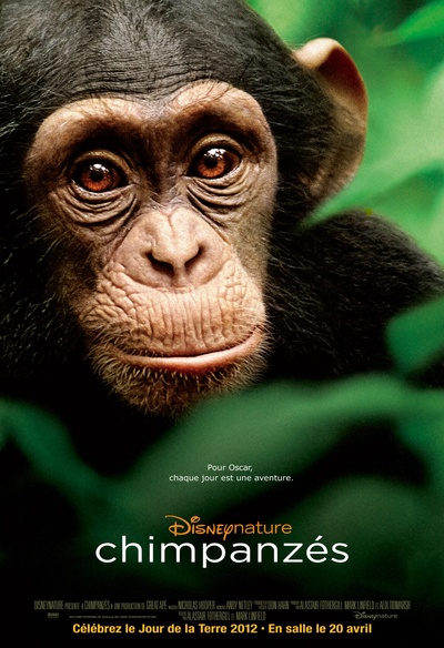 Affiche du film Chimpanzés