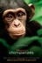 Affiche du film Chimpanzés