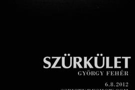 Image film Szürkület
